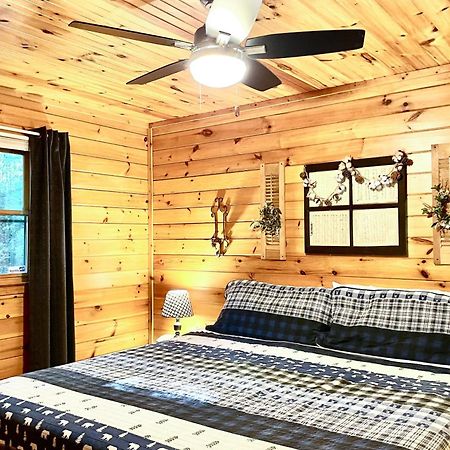 Coffee Creek Cabin Sautee Nacoochee 외부 사진