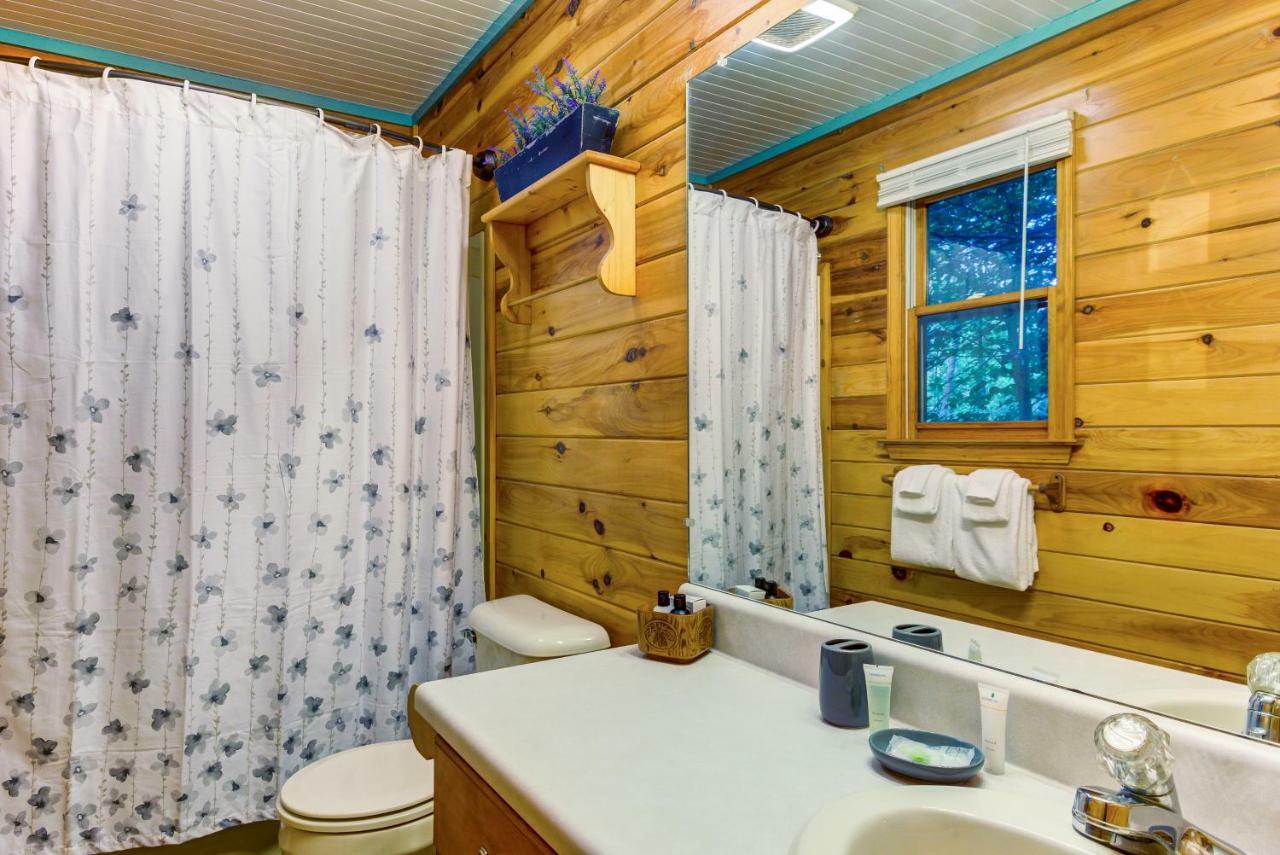 Coffee Creek Cabin Sautee Nacoochee 외부 사진